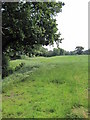 View of Footpath to Town Ditch