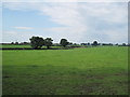 Footpath and Farmland