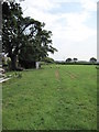 View of the Footpath into Honkley