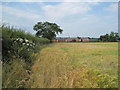 Footpath between Honkley and Meadow Farm