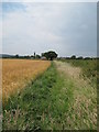 View of the Footpath to Broughton