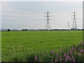 Pylons Over Carrington Moss