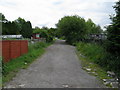 Lane between the allotments