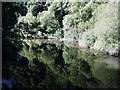 River Teifi near Llechryd