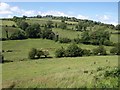 Shilston Brook valley