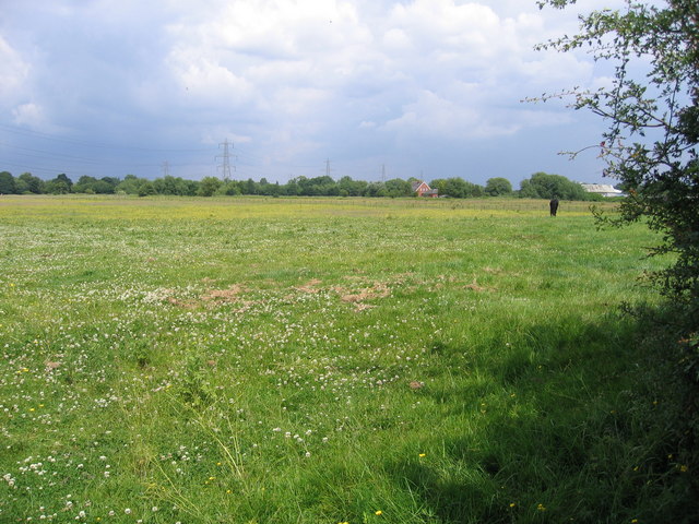 Mersey Valley Farmland