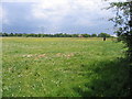 Mersey Valley Farmland