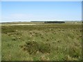 Moorland, Hagdon