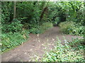 Footpath intersection in Woodford Shrubbery