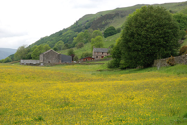 Meadow by Murthwaite