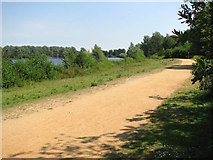 TG2507 : Whitlingham Great Broad - path along the southern shore by Evelyn Simak