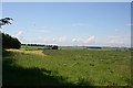 Hut in a Field