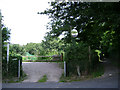 Allotments off Aller Hill, Dawlish (2)