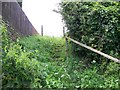 Footpaths near Luckington