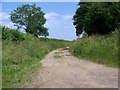 Byway near Luckington