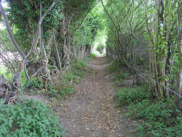 Footpath heading up towards Hatchet Wood