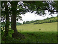 From the North Downs Way, near Wrotham