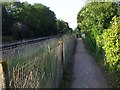 Footpath to Dinas Powys station