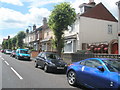 Trees in Grove Road