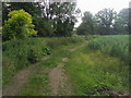 Footpath to Culham