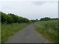 Path west of Marton Mere