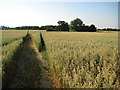 London Colney: Footpath from Salisbury Hall