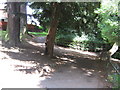 Footpaths through Brinkburn Dene