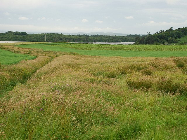 Meadows at Octovullin
