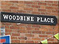 Woodbine Place