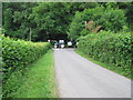 Tractor on the road