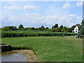 View across marshes from Cattawade Picnic Site