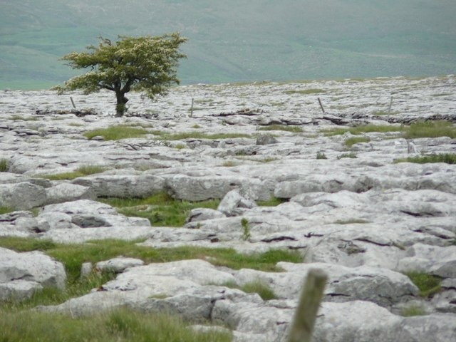 Near Sulber pot Limestone