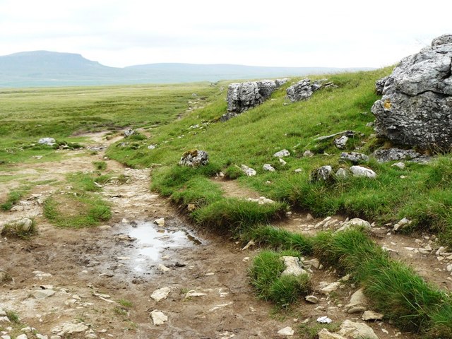 Path from Ingleborough to Horton in Ribblesdale