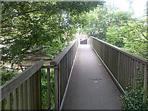 SK5639 : Footbridge over The Nottingham Canal by David Lally