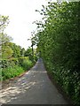 Drymill Lane, looking south-east