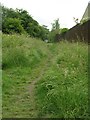 Footpath - end of Victoria Road