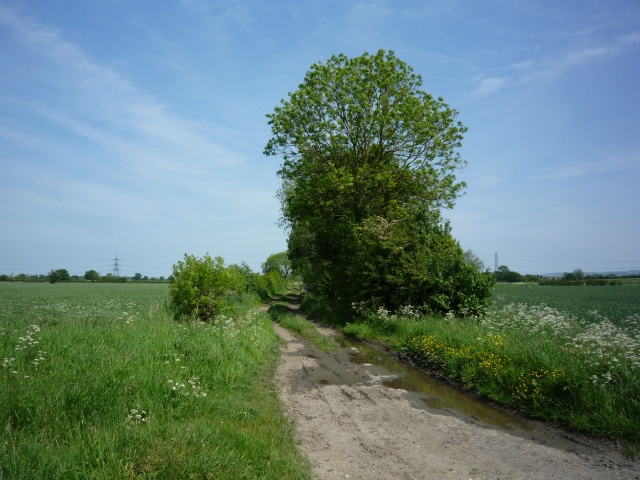 Track into a field near Newton
