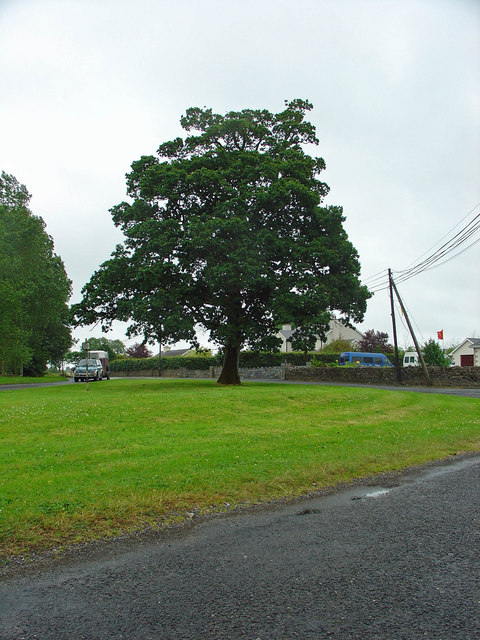 Tree on the green: Kyle Cross Roads, Co. Limerick