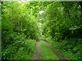 Track to Peaton Cottage