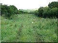 Bridleway near Maiden Bradley