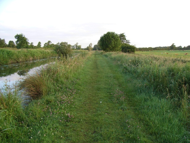 A pastoral Royal Canal scene on the Meath-Kildare border, southeast of Fern's Lock