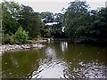 The pond at Burton Agnes