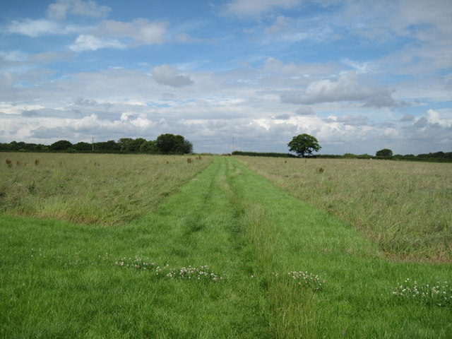 Footpath across a Field