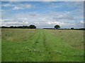 Footpath across a Field