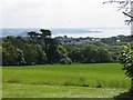 View from the terrace of Trengwainton Garden