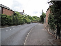 SJ5574 : Mill Lane, Kingsley by David Quinn