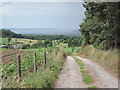 Mickledale Road and Mersey