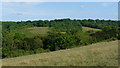 View Across Happy Valley, Surrey