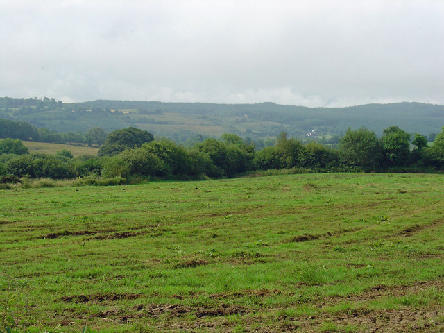 Field near Ballina, Co. Tipperary