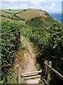 Coast path above Polstreath